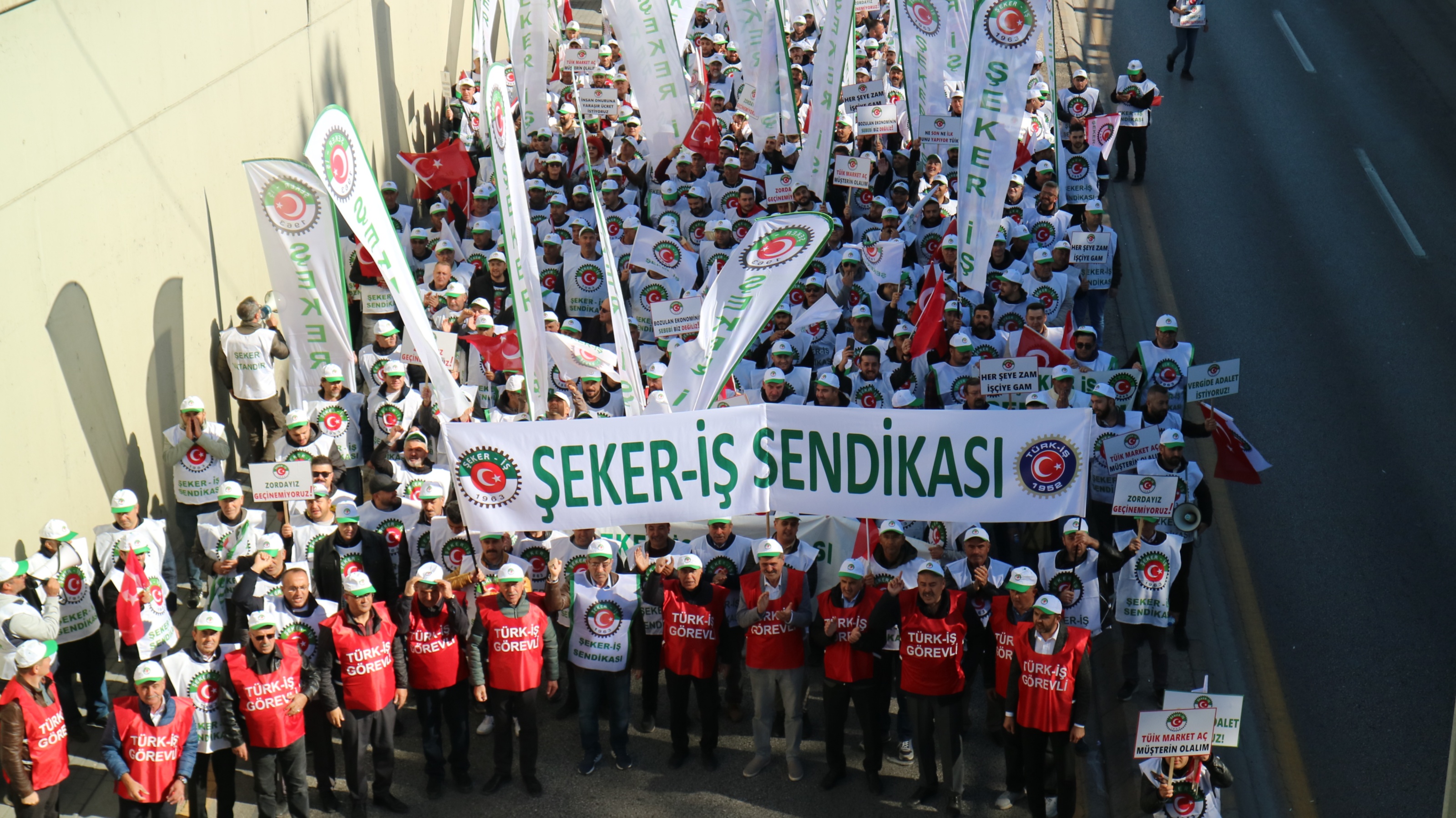 IMG 8633.JPG crop
