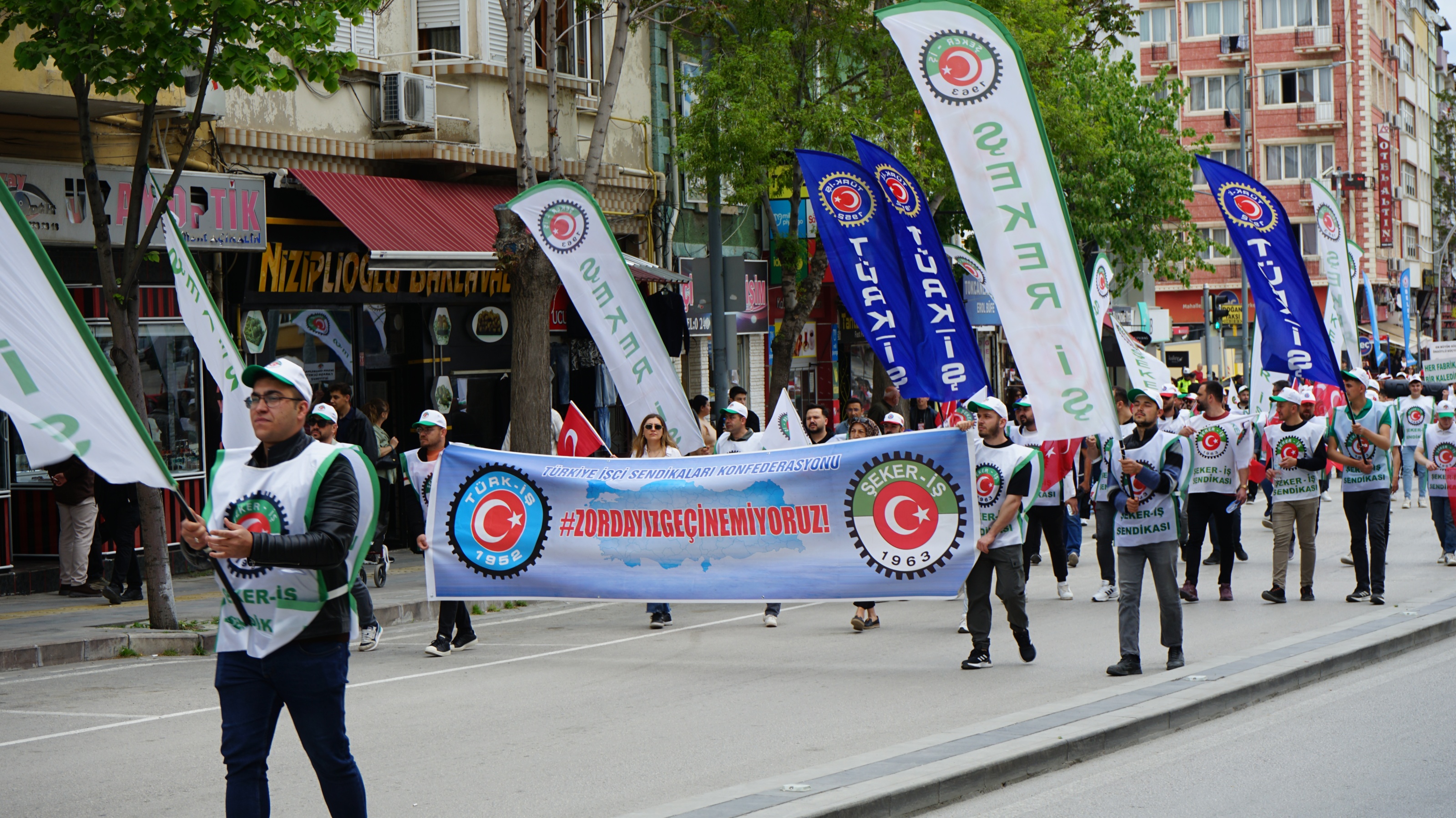 DSC08103.JPG crop